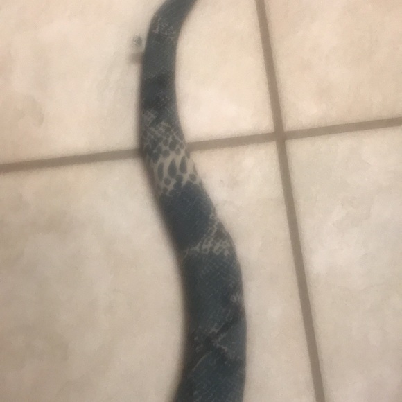 Faux Snake - Picture 7 of 12